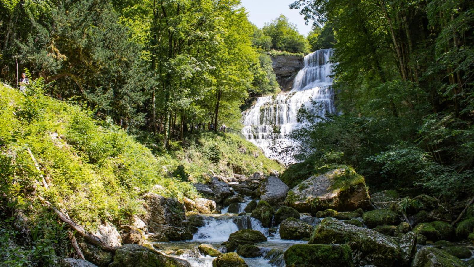 T2 Cosy Au Coeur Du Haut-Jura, Parking Gratuit Morbier Exterior foto
